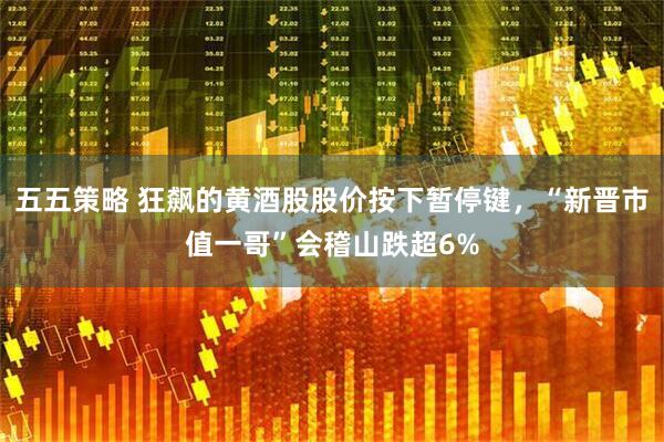 五五策略 狂飙的黄酒股股价按下暂停键，“新晋市值一哥”会稽山跌超6%