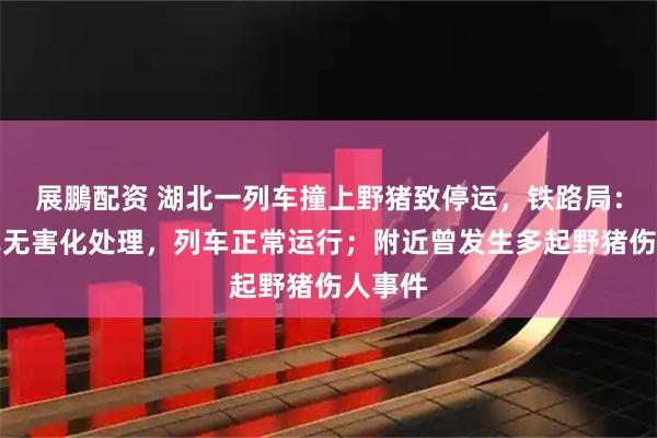 展鵬配资 湖北一列车撞上野猪致停运，铁路局：野猪已无害化处理，列车正常运行；附近曾发生多起野猪伤人事件