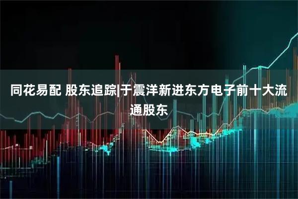 同花易配 股东追踪|于震洋新进东方电子前十大流通股东