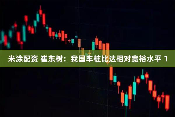 米涂配资 崔东树：我国车桩比达相对宽裕水平 1