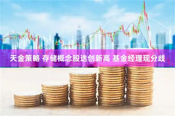 天金策略 存储概念股迭创新高 基金经理现分歧