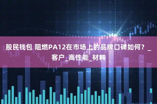 股民钱包 阻燃PA12在市场上的品牌口碑如何？_客户_高性能_材料