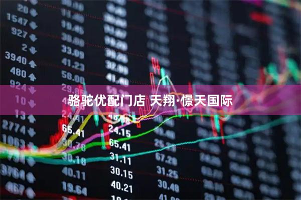 骆驼优配门店 天翔·憬天国际